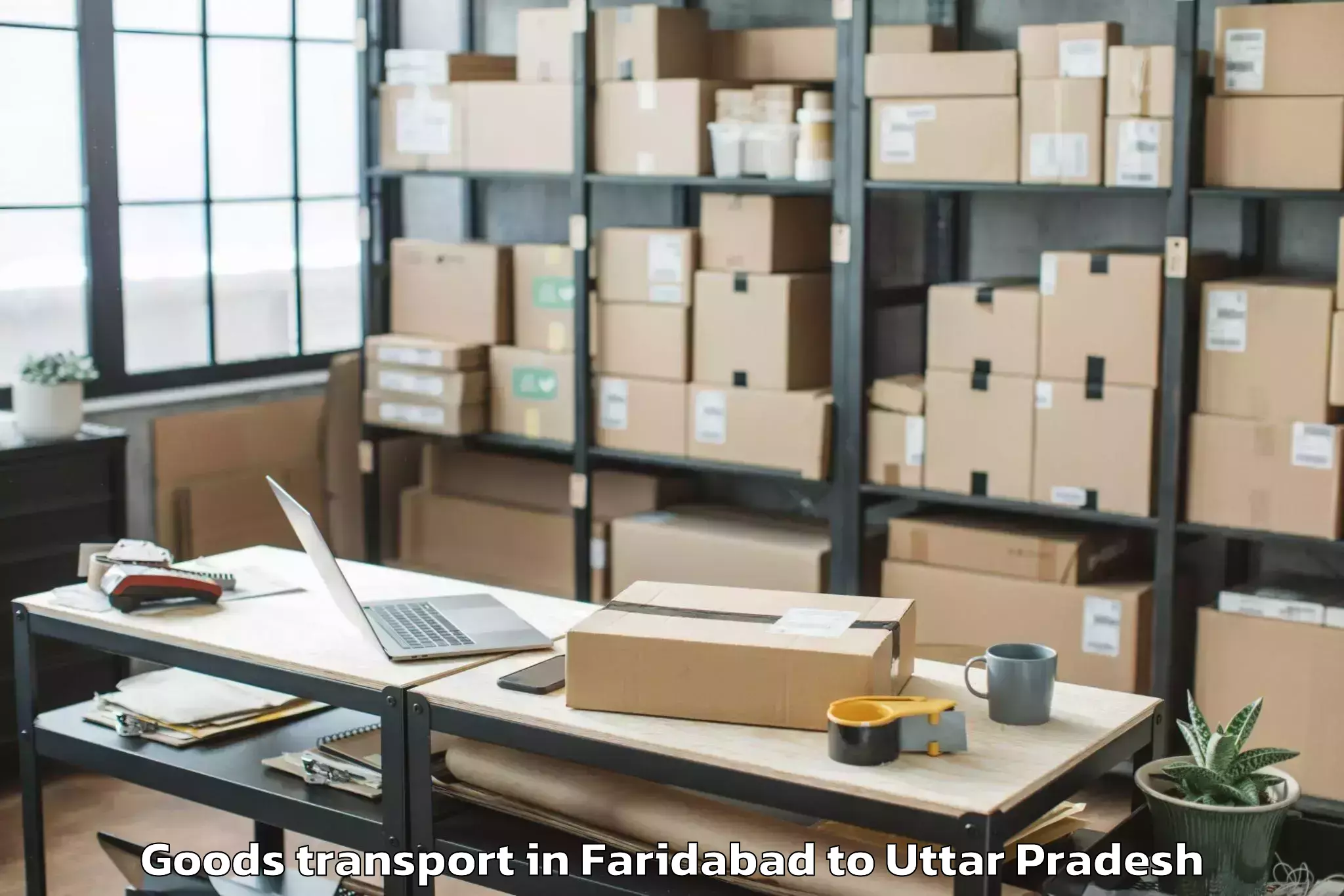 Reliable Faridabad to Bikapur Goods Transport